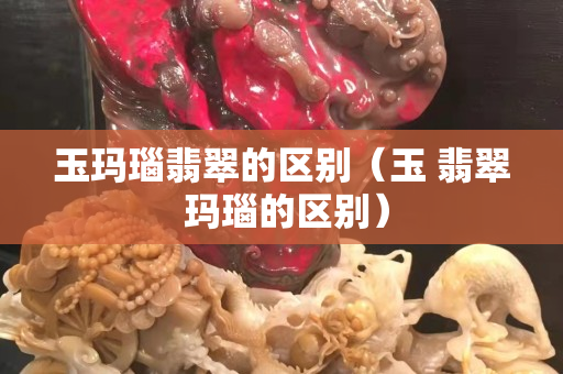 玉瑪瑙翡翠的區(qū)別（玉 翡翠 瑪瑙的區(qū)別）