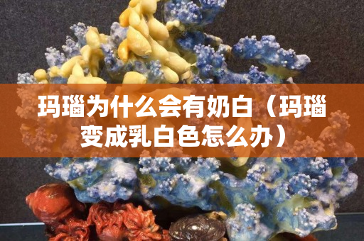 瑪瑙為什么會有奶白（瑪瑙變成乳白色怎么辦）