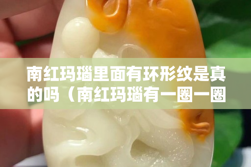 南紅瑪瑙里面有環(huán)形紋是真的嗎（南紅瑪瑙有一圈一圈的紋路嗎）