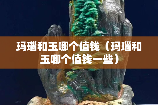 瑪瑙和玉哪個(gè)值錢（瑪瑙和玉哪個(gè)值錢一些）