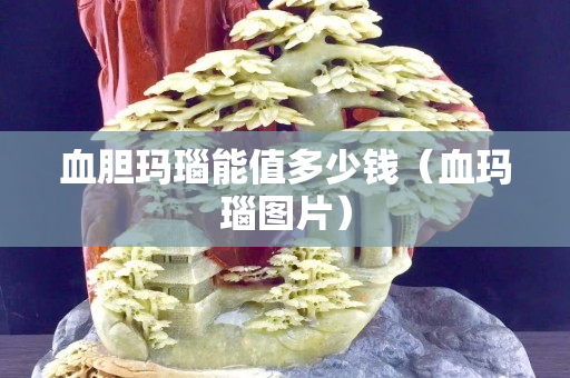 血膽瑪瑙能值多少錢（血瑪瑙圖片）