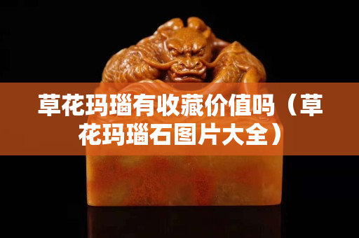 草花瑪瑙有收藏價值嗎（草花瑪瑙石圖片大全）