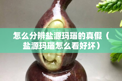 怎么分辨鹽源瑪瑙的真假（鹽源瑪瑙怎么看好壞）
