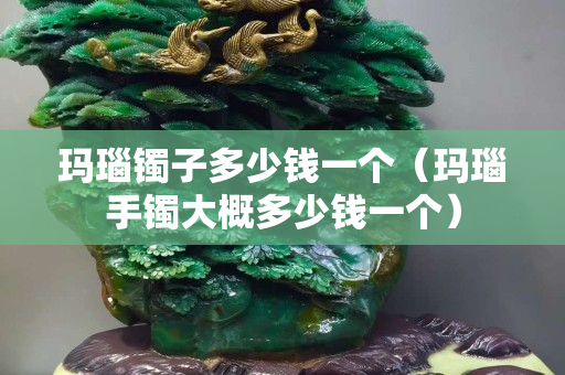 瑪瑙鐲子多少錢一個（瑪瑙手鐲大概多少錢一個）
