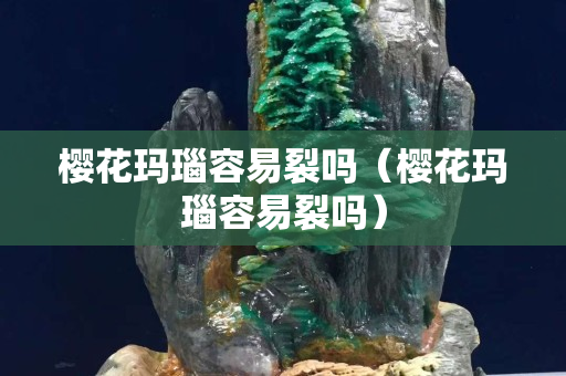 櫻花瑪瑙容易裂嗎（櫻花瑪瑙容易裂嗎）