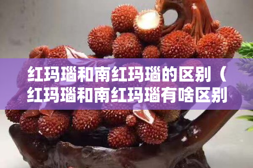 紅瑪瑙和南紅瑪瑙的區別（紅瑪瑙和南紅瑪瑙有啥區別）