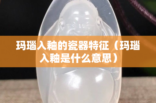 瑪瑙入釉的瓷器特征（瑪瑙入釉是什么意思）