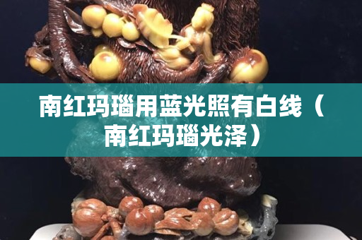南紅瑪瑙用藍(lán)光照有白線（南紅瑪瑙光澤）