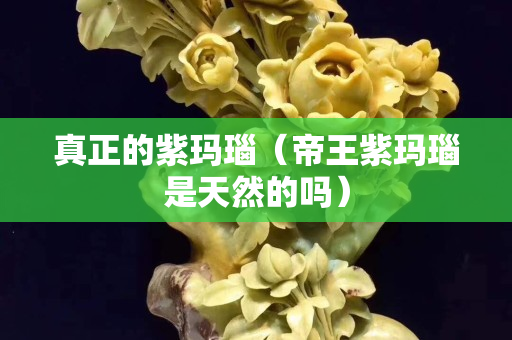 真正的紫瑪瑙（帝王紫瑪瑙是天然的嗎）