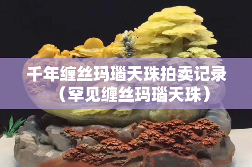 千年纏絲瑪瑙天珠拍賣記錄（罕見纏絲瑪瑙天珠）