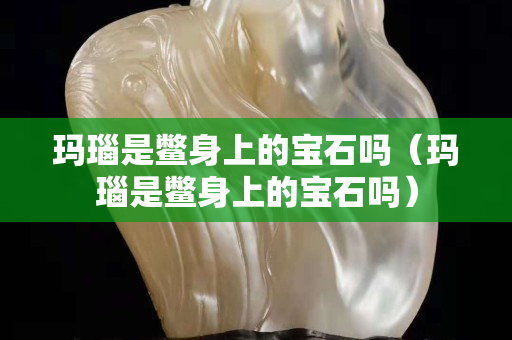 瑪瑙是鱉身上的寶石嗎（瑪瑙是鱉身上的寶石嗎）