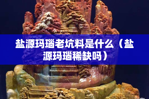 鹽源瑪瑙老坑料是什么（鹽源瑪瑙稀缺嗎）