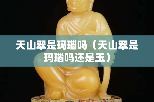 天山翠是瑪瑙嗎（天山翠是瑪瑙嗎還是玉）