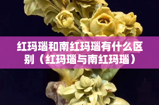 紅瑪瑙和南紅瑪瑙有什么區(qū)別（紅瑪瑙與南紅瑪瑙）