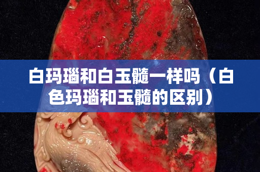 白瑪瑙和白玉髓一樣嗎（白色瑪瑙和玉髓的區(qū)別）