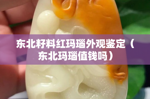 東北籽料紅瑪瑙外觀鑒定（東北瑪瑙值錢嗎）