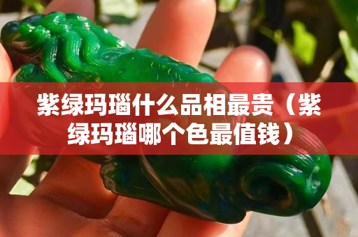 紫綠瑪瑙什么品相最貴（紫綠瑪瑙哪個色最值錢）