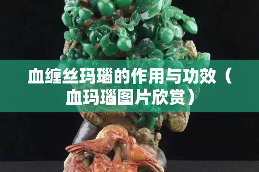 血纏絲瑪瑙的作用與功效（血瑪瑙圖片欣賞）