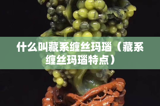 什么叫藏系纏絲瑪瑙（藏系纏絲瑪瑙特點）