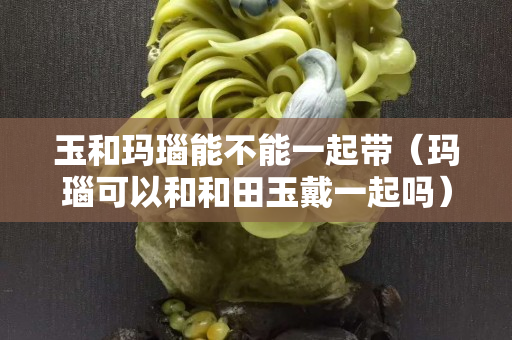 玉和瑪瑙能不能一起帶（瑪瑙可以和和田玉戴一起嗎）