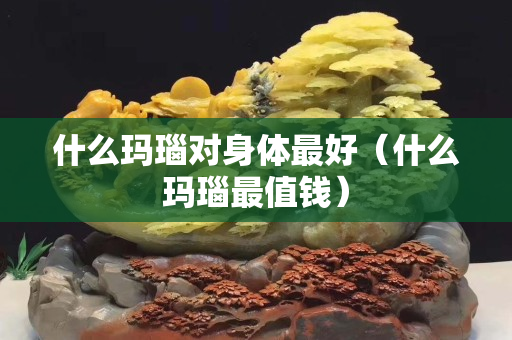 什么瑪瑙對身體最好（什么瑪瑙最值錢）