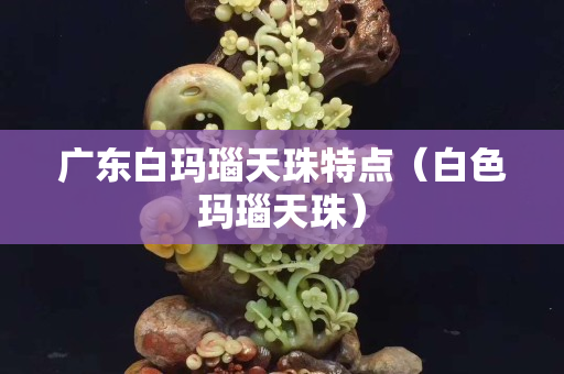 廣東白瑪瑙天珠特點（白色瑪瑙天珠）