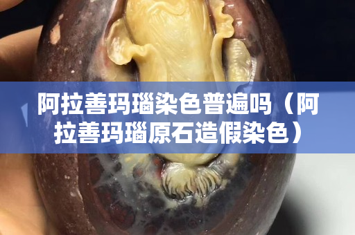 阿拉善瑪瑙染色普遍嗎（阿拉善瑪瑙原石造假染色）