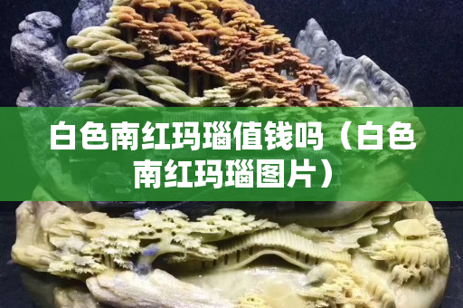 白色南紅瑪瑙值錢嗎（白色南紅瑪瑙圖片）
