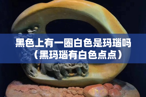 黑色上有一圈白色是瑪瑙嗎（黑瑪瑙有白色點點）