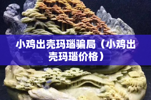 小雞出殼瑪瑙騙局（小雞出殼瑪瑙價格）