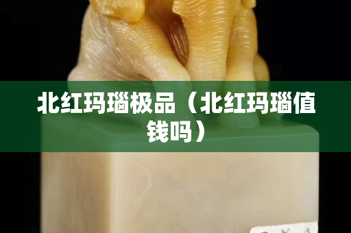北紅瑪瑙極品（北紅瑪瑙值錢嗎）