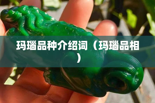 瑪瑙品種介紹詞（瑪瑙品相）