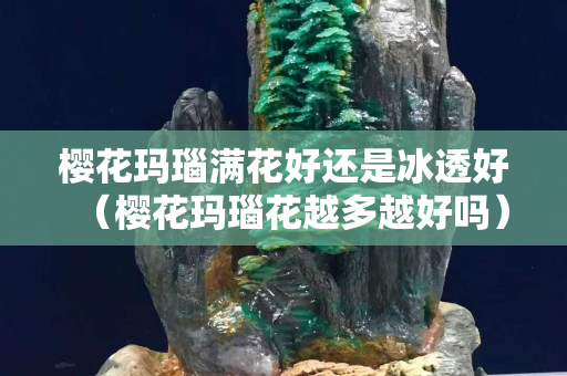 櫻花瑪瑙滿花好還是冰透好（櫻花瑪瑙花越多越好嗎）