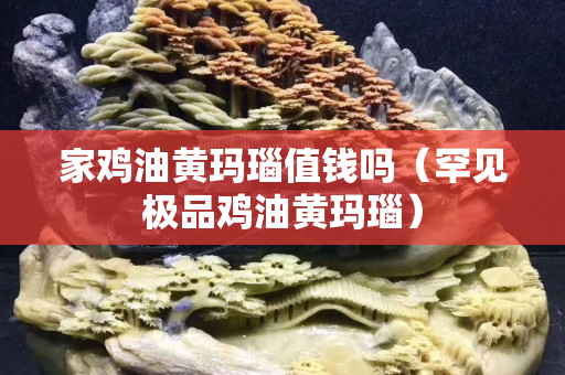 家雞油黃瑪瑙值錢嗎（罕見(jiàn)極品雞油黃瑪瑙）