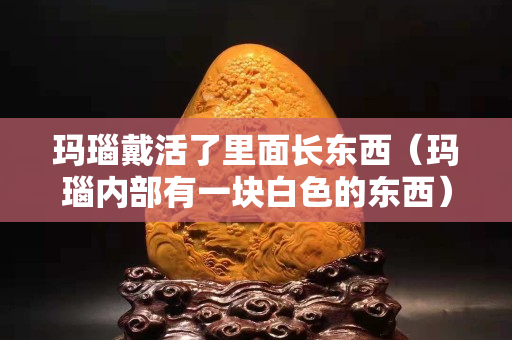瑪瑙戴活了里面長東西（瑪瑙內部有一塊白色的東西）