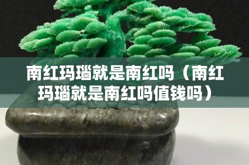 南紅瑪瑙就是南紅嗎（南紅瑪瑙就是南紅嗎值錢嗎）