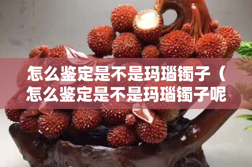 怎么鑒定是不是瑪瑙鐲子（怎么鑒定是不是瑪瑙鐲子呢）
