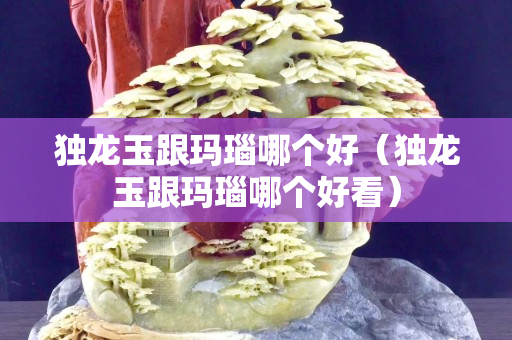 獨龍玉跟瑪瑙哪個好（獨龍玉跟瑪瑙哪個好看）
