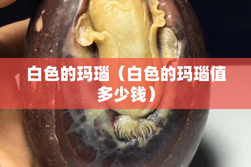 白色的瑪瑙（白色的瑪瑙值多少錢）
