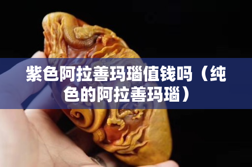 紫色阿拉善瑪瑙值錢嗎（純色的阿拉善瑪瑙）
