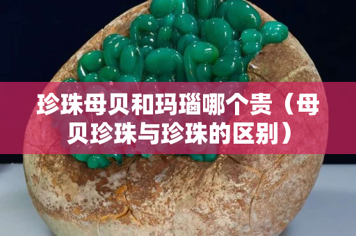 珍珠母貝和瑪瑙哪個(gè)貴（母貝珍珠與珍珠的區(qū)別）