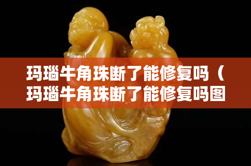 瑪瑙牛角珠斷了能修復嗎（瑪瑙牛角珠斷了能修復嗎圖片）