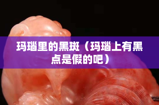 瑪瑙里的黑斑（瑪瑙上有黑點是假的吧）