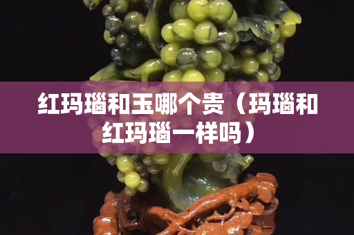 紅瑪瑙和玉哪個貴（瑪瑙和紅瑪瑙一樣嗎）