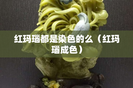 紅瑪瑙都是染色的么（紅瑪瑙成色）