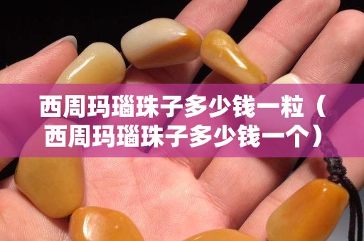 西周瑪瑙珠子多少錢一粒（西周瑪瑙珠子多少錢一個(gè)）