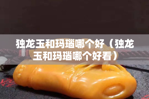 獨(dú)龍玉和瑪瑙哪個(gè)好（獨(dú)龍玉和瑪瑙哪個(gè)好看）
