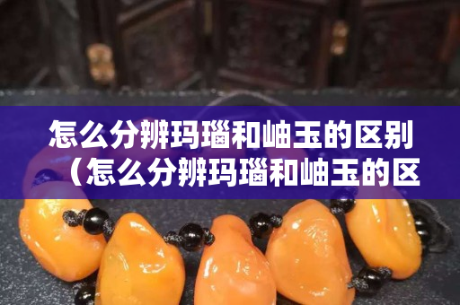 怎么分辨瑪瑙和岫玉的區別（怎么分辨瑪瑙和岫玉的區別圖片）