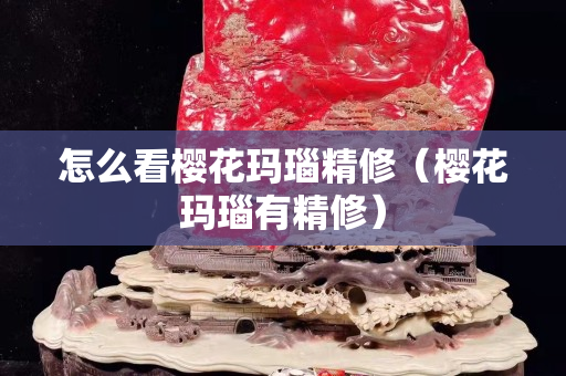 怎么看櫻花瑪瑙精修（櫻花瑪瑙有精修）