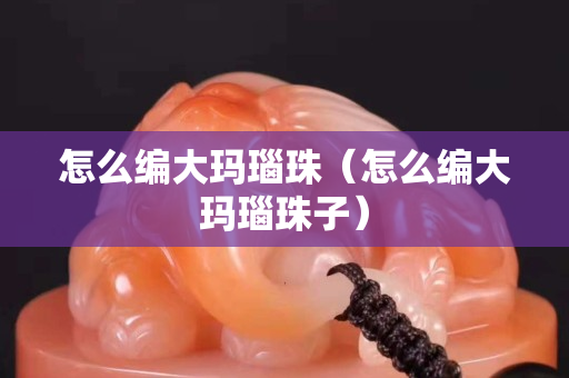 怎么編大瑪瑙珠（怎么編大瑪瑙珠子）